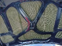 DSC01909.JPG